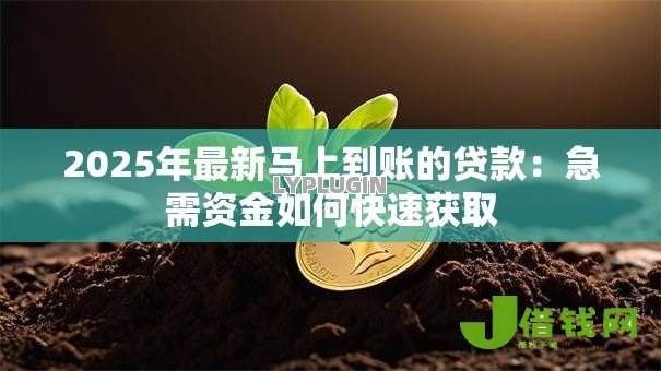 2025年最新马上到账的贷款:急需资金如何快速获取 2025年最新马上到账的贷款:急需资金如何快速获取