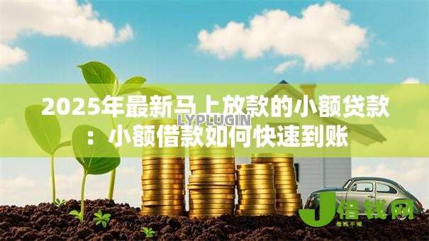 2025年最新马上放款的小额贷款:小额借款如何快速到账 2025年最新马上放款的小额贷款:小额借款如何快速到账