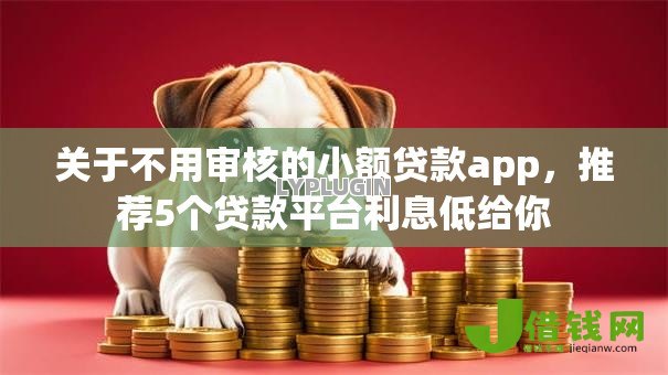 关于不用审核的小额贷款app，推荐5个贷款平台利息低给你