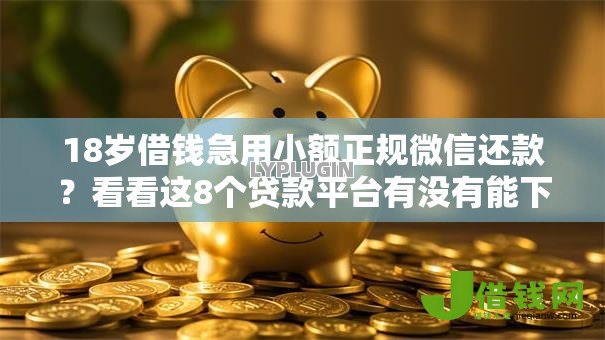 18岁借钱急用小额正规微信还款？看看这8个贷款平台有没有能下款的
