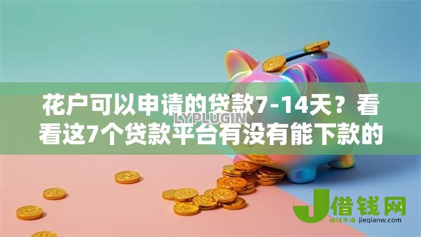 花户可以申请的贷款7-14天？看看这7个贷款平台有没有能下款的