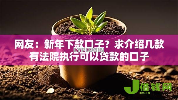 网友:新年下款口子?求介绍几款有法院执行可以贷款的口子 网友:新年下款口子?求介绍几款有法院执行可以贷款的口子