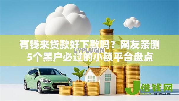 有钱来贷款好下款吗？网友亲测5个黑户必过的小额平台盘点