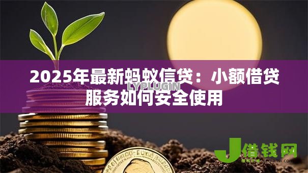 2025年最新蚂蚁信贷：小额借贷服务如何安全使用