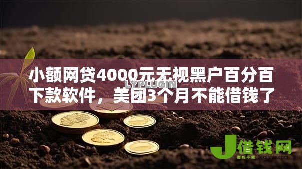 小额网贷4000元无视黑户百分百下款软件,美团3个月不能借钱了吗的5个平台介绍 小额网贷4000元无视黑户百分百下款软件,美团3个月不能借钱了吗的5个平台介绍