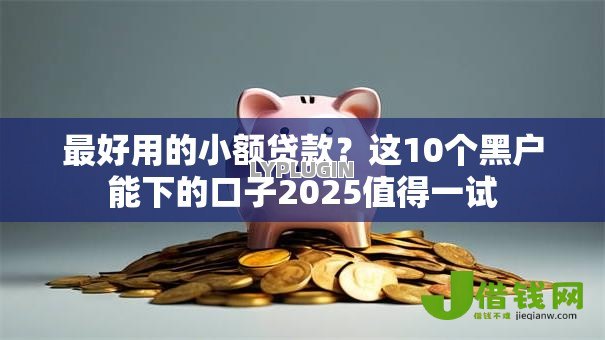 最好用的小额贷款？这10个黑户能下的口子2025值得一试