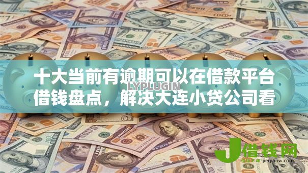 十大当前有逾期可以在借款平台借钱盘点，解决大连小贷公司看不看征信的问题
