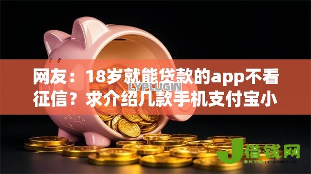 网友：18岁就能贷款的app不看征信？求介绍几款手机支付宝小额贷款的平台