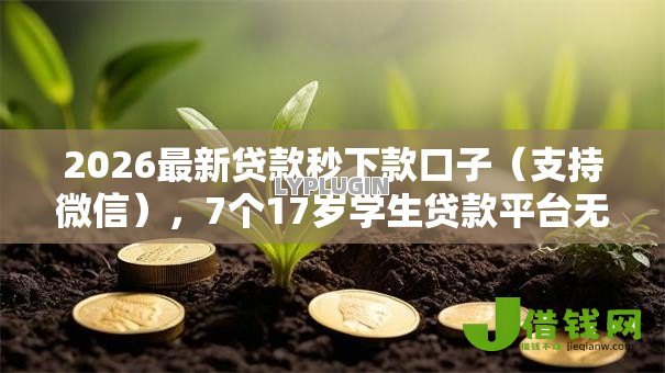 2026最新贷款秒下款口子（支持微信），7个17岁学生贷款平台无私分享