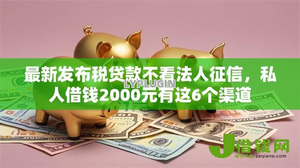 最新发布税贷款不看法人征信，私人借钱2000元有这6个渠道