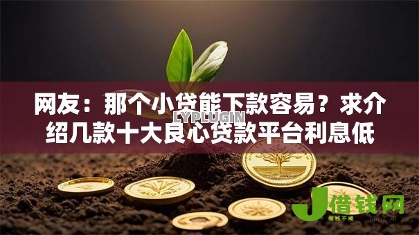 网友:那个小贷能下款容易?求介绍几款十大良心贷款平台利息低一点 网友:那个小贷能下款容易?求介绍几款十大良心贷款平台利息低一点