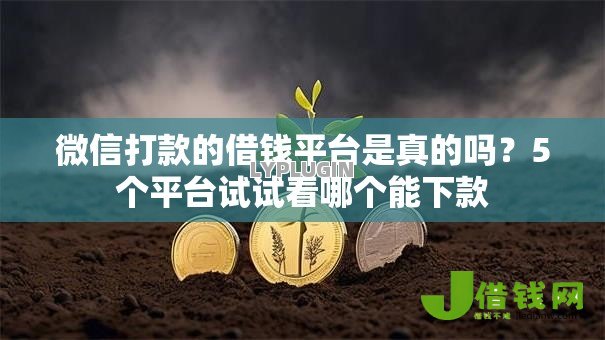 微信打款的借钱平台是真的吗?5个平台试试看哪个能下款 微信打款的借钱平台是真的吗?5个平台试试看哪个能下款