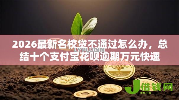 2026最新名校贷不通过怎么办，总结十个支付宝花呗逾期万元快速贷款口子！