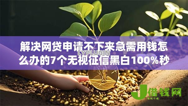 解决网贷申请不下来急需用钱怎么办的7个无视征信黑白100%秒下app分享