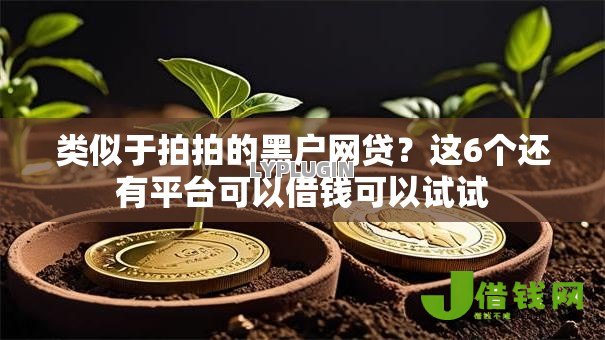 类似于拍拍的黑户网贷?这6个还有平台可以借钱可以试试 类似于拍拍的黑户网贷?这6个还有平台可以借钱可以试试