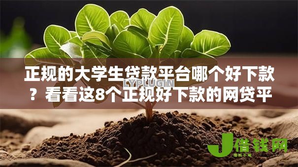 正规的大学生贷款平台哪个好下款?看看这8个正规好下款的网贷平台怎么样 正规的大学生贷款平台哪个好下款?看看这8个正规好下款的网贷平台怎么样