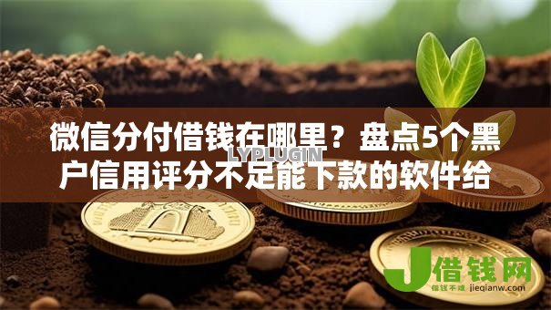 微信分付借钱在哪里？盘点5个黑户信用评分不足能下款的软件给你参考