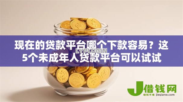 现在的贷款平台哪个下款容易?这5个未成年人贷款平台可以试试 现在的贷款平台哪个下款容易?这5个未成年人贷款平台可以试试