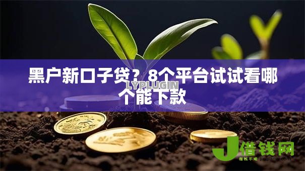 黑户新口子贷？8个平台试试看哪个能下款