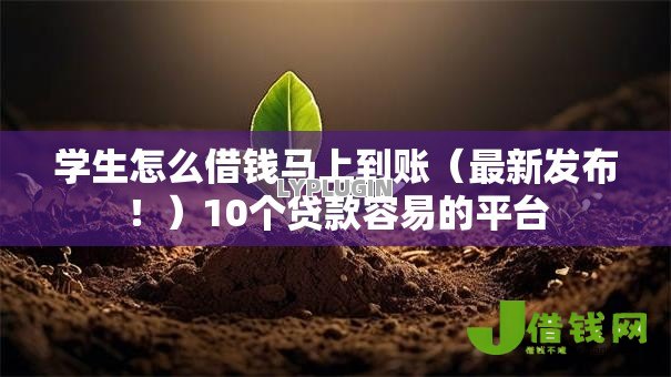 学生怎么借钱马上到账（最新发布！）10个贷款容易的平台