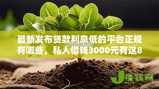 最新发布贷款利息低的平台正规有哪些,私人借钱3000元有这8个渠道 最新发布贷款利息低的平台正规有哪些,私人借钱3000元有这8个渠道