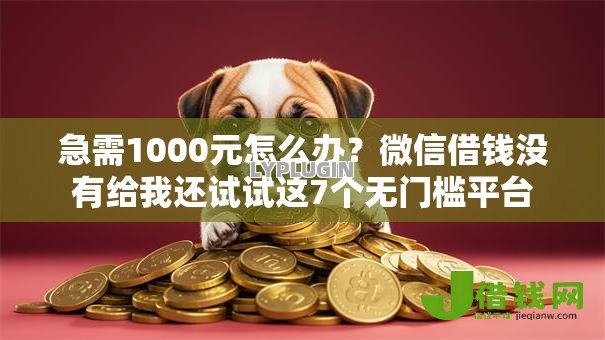 急需1000元怎么办?微信借钱没有给我还试试这7个无门槛平台 急需1000元怎么办?微信借钱没有给我还试试这7个无门槛平台