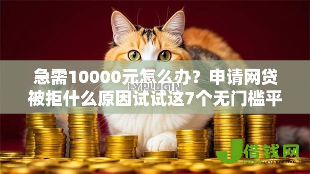 急需10000元怎么办？申请网贷被拒什么原因试试这7个无门槛平台