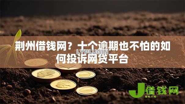 荆州借钱网?十个逾期也不怕的如何投诉网贷平台 荆州借钱网?十个逾期也不怕的如何投诉网贷平台