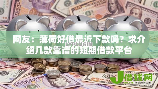 网友：薄荷好借最近下款吗？求介绍几款靠谱的短期借款平台