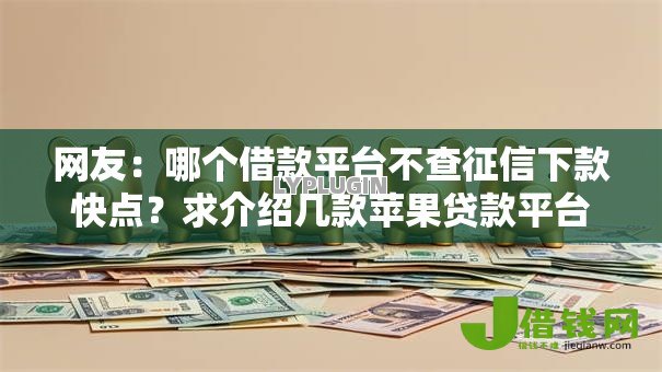 网友：哪个借款平台不查征信下款快点？求介绍几款苹果贷款平台