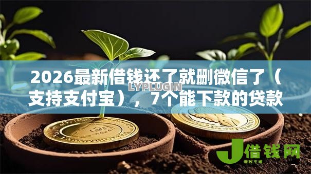 2026最新借钱还了就删微信了（支持支付宝），7个能下款的贷款平台无私分享