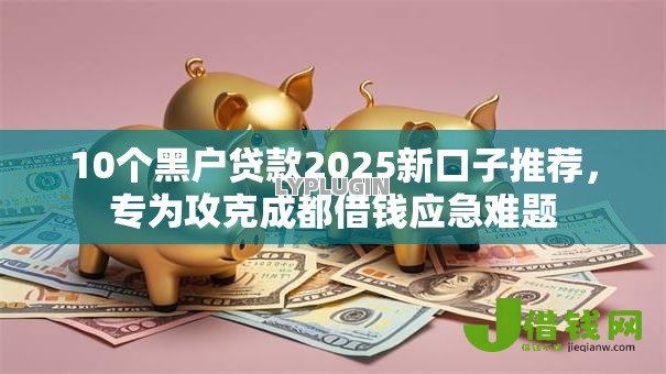 10个黑户贷款2025新口子推荐，专为攻克成都借钱应急难题