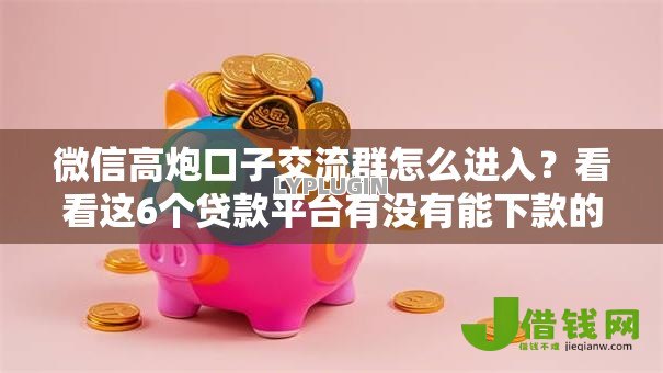 微信高炮口子交流群怎么进入？看看这6个贷款平台有没有能下款的