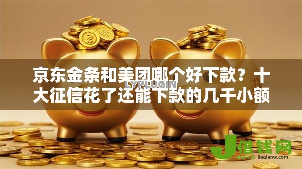 京东金条和美团哪个好下款？十大征信花了还能下款的几千小额度平台推荐