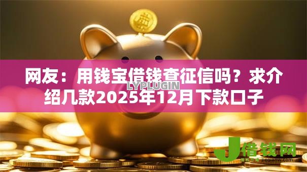 网友:用钱宝借钱查征信吗?求介绍几款2025年12月下款口子 网友:用钱宝借钱查征信吗?求介绍几款2025年12月下款口子