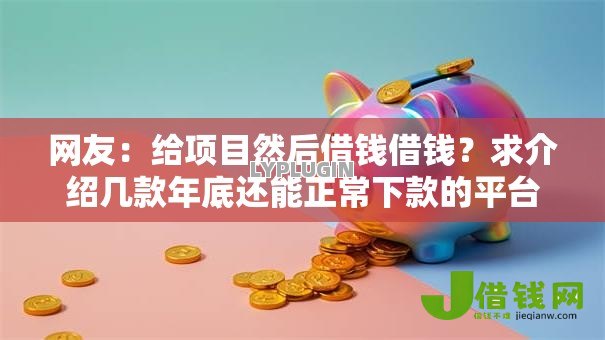 网友：给项目然后借钱借钱？求介绍几款年底还能正常下款的平台
