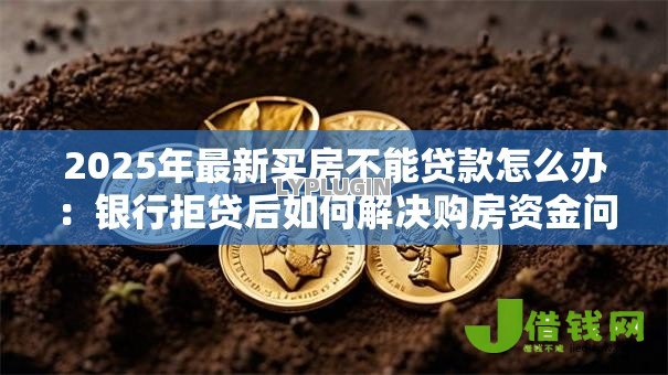 2025年最新买房不能贷款怎么办：银行拒贷后如何解决购房资金问题