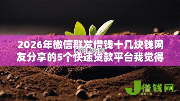 2026年微信群发借钱十几块钱网友分享的5个快速贷款平台我觉得不错！