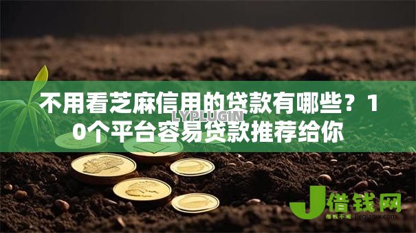不用看芝麻信用的贷款有哪些?10个平台容易贷款推荐给你 不用看芝麻信用的贷款有哪些?10个平台容易贷款推荐给你
