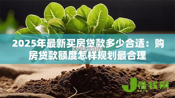 2025年最新买房贷款多少合适：购房贷款额度怎样规划最合理