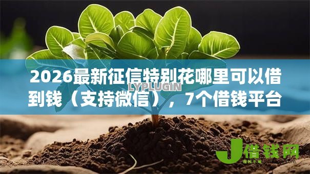2026最新征信特别花哪里可以借到钱(支持微信),7个借钱平台不看综合评估的app无私分享 2026最新征信特别花哪里可以借到钱(支持微信),7个借钱平台不看综合评估的app无私分享