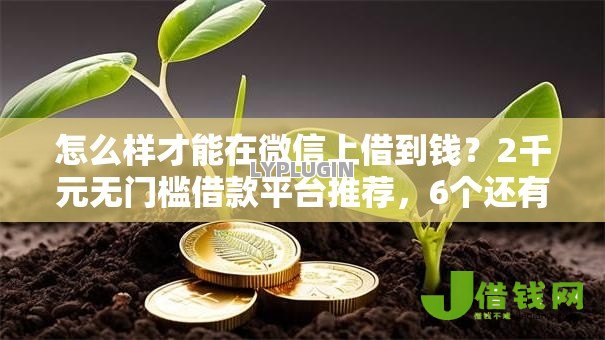 怎么样才能在微信上借到钱?2千元无门槛借款平台推荐,6个还有借款平台可以借钱盘点 怎么样才能在微信上借到钱?2千元无门槛借款平台推荐,6个还有借款平台可以借钱盘点