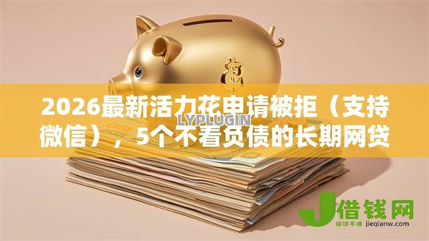 2026最新活力花申请被拒（支持微信），5个不看负债的长期网贷平台无私分享