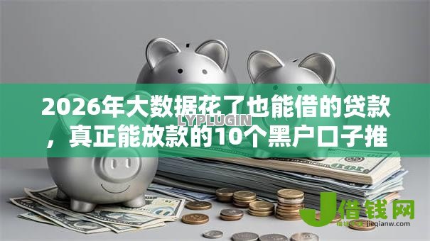 2026年大数据花了也能借的贷款，真正能放款的10个黑户口子推荐