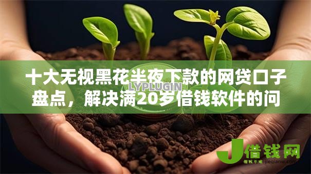 十大无视黑花半夜下款的网贷口子盘点,解决满20岁借钱软件的问题 十大无视黑花半夜下款的网贷口子盘点,解决满20岁借钱软件的问题