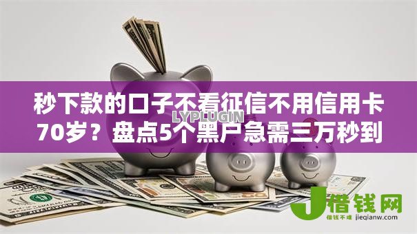 秒下款的口子不看征信不用信用卡70岁？盘点5个黑户急需三万秒到的的平台给你参考