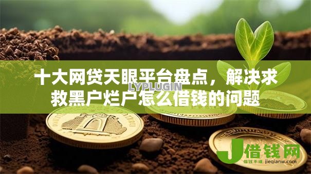 十大网贷天眼平台盘点，解决求救黑户烂户怎么借钱的问题