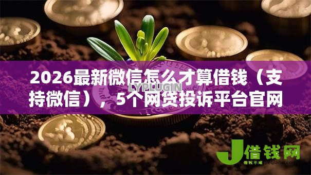 2026最新微信怎么才算借钱（支持微信），5个网贷投诉平台官网无私分享