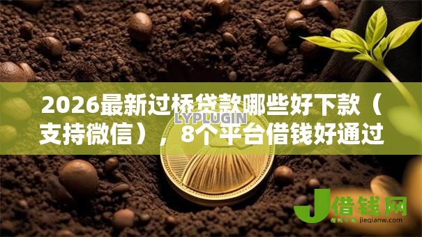 2026最新过桥贷款哪些好下款(支持微信),8个平台借钱好通过无私分享 2026最新过桥贷款哪些好下款(支持微信),8个平台借钱好通过无私分享