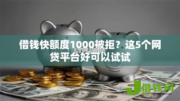 借钱快额度1000被拒？这5个网贷平台好可以试试